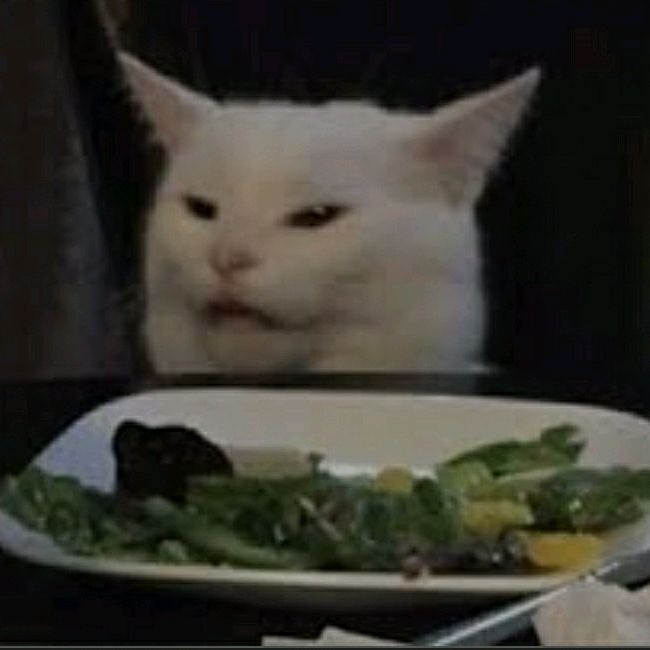 Profile Picture of Paul Searson (@paulsearson) on Tiktok