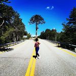 Profile Picture of lily huenchual (@liliana.huenchual) on Instagram