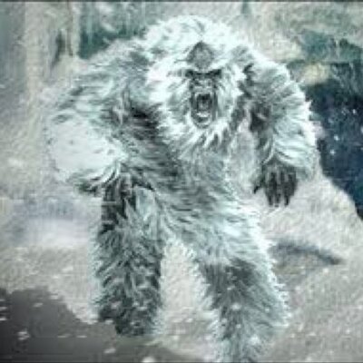 Profile Picture of Aidan Herbert (@aidanherb) on Twitter
