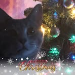 Profile Picture of Ember Menzak (@ember.menzak) on Facebook