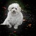 Profile Picture of Jose Caamano (@jose.caamano.7146) on Facebook