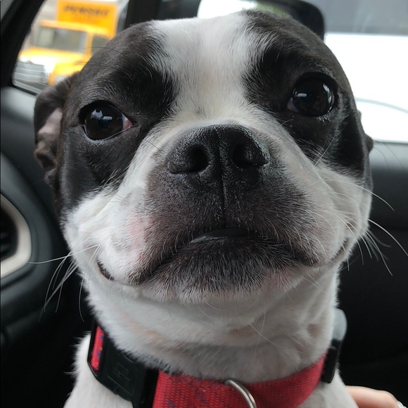 Profile Picture of Sean Bolinskey (@seanb1987) on Poshmark