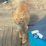 Profile Picture of kim choice (@kimmyswag5) on Instagram