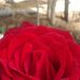 Profile Picture of Mae Hamad (@mae.hamad.92) on Facebook