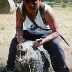 Profile Picture of Robert Lan (@robertlan2) on Tiktok