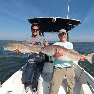 Profile Picture of David H Troxler (@dtroxlermd) on Twitter