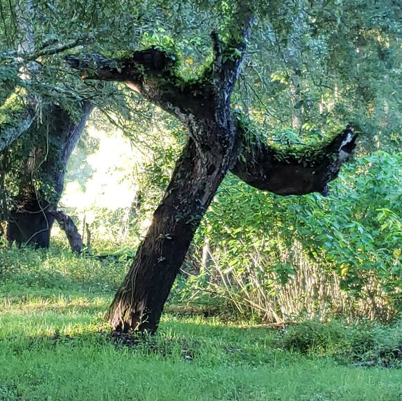 Profile Picture of Eric Barber (@ericbarber1117) on Poshmark