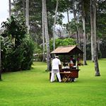 Profile Picture of Carlee Rezendes (@carlee0953rezendes59246) on Instagram