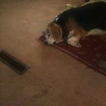 Profile Picture of Bob Rosenberger (@bob.rosenberger.56) on Instagram