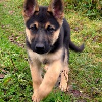 Profile Picture of Sky Bennett (@sky-bennett-3) on Quora