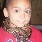 Profile Picture of Joshua Pileggi (@pileggijoshua) on Instagram