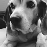 Profile Picture of Michael Seery (@michael.seery) on Instagram