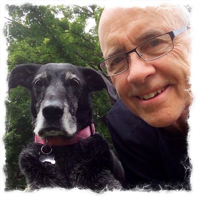 Profile Picture of Steve Bottcher (@MetalFormer) on Twitter