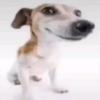 Profile Picture of Christopher Cedillo (@@christophercedill00) on Tiktok