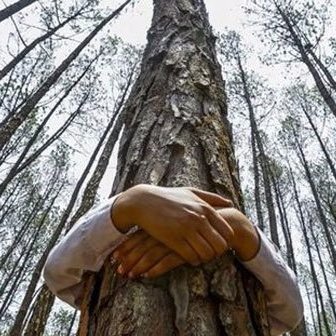 Profile Picture of Tatalovic Snezana (@TatalovicSnezan) on Twitter