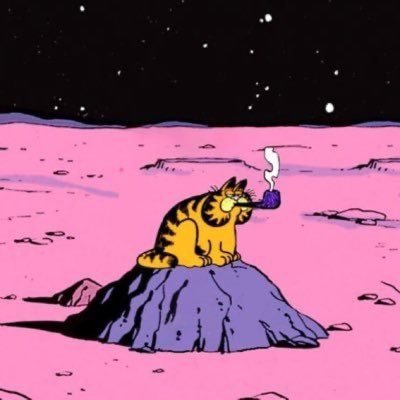 Profile Picture of Steve Jail (@DerekSchwartz2) on Twitter