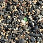 Profile Picture of Tim Abbott (@timmysann) on Instagram