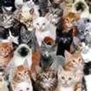 Profile Picture of Laura D Bailey (@292811059) on Myspace