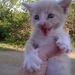 Profile Picture of Cheryl Bruning (@cherylb0650) on Pinterest