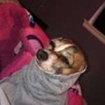 Profile Picture of Martin Salgado (@martini_salgado) on Instagram