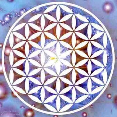 Profile Picture of David Coso Pich (@davidsurrusch) on Twitter
