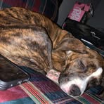 Profile Picture of Joshua Cheshire (@Joshua-Cheshire) on Facebook