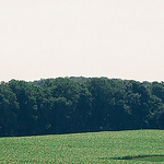 Profile Picture of Amber Bailey (@amberbailey9589) on Flickr