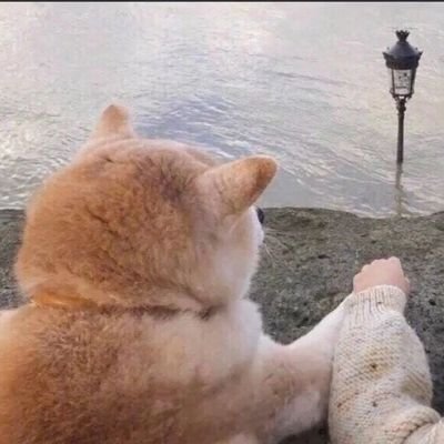 Jerry Lei - Twitter Profile Picture of Jerry Lei (@jerrylei15) on Twitter