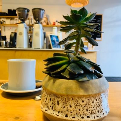 Profile Picture of Joe (@bjork1976) on Twitter