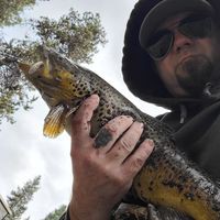 Profile Picture of Joe Gregor (@joe-gregor-16) on Quora
