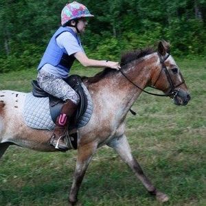 Profile Picture of Liz Hayes (@e6hayes24) on Myspace