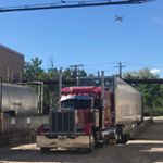 Profile Picture of Brian Martins (@b_martins379) on Instagram