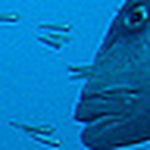 Profile Picture of Merche Sanz (@merche sanz) on Flickr