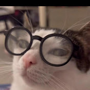 Profile Picture of Andrew Pinedo (@andrewpinedo7381) on Youtube