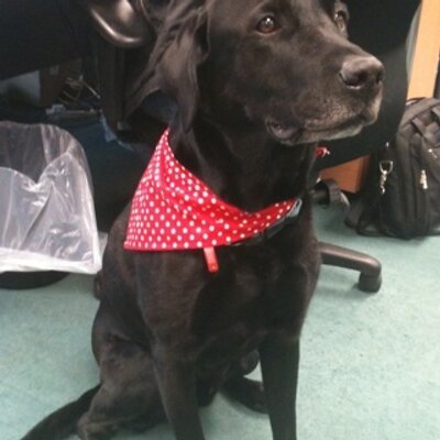 Profile Picture of Richard Lardner (@richielard) on Twitter