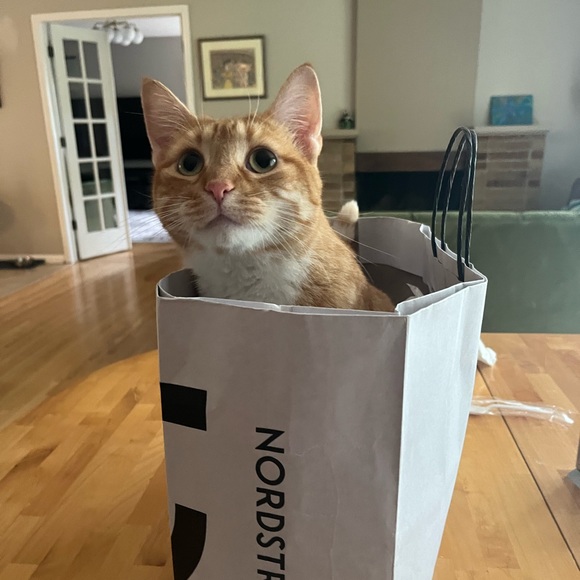 Profile Picture of L Persky (@leahmiriamp) on Poshmark