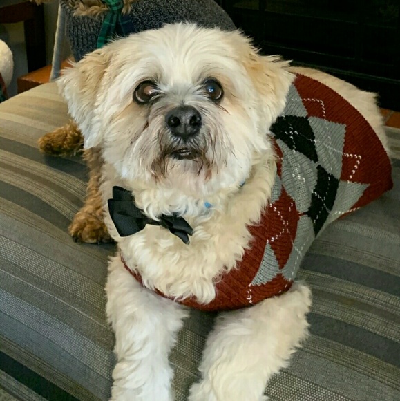 Profile Picture of Shirley Connor (@shirleyconnor) on Poshmark