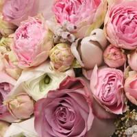 Profile Picture of Haley Wilder (@haley-wilder-11) on Quora