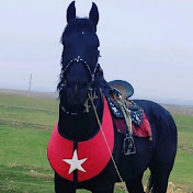 Profile Picture of Mirsharif Ochilov (@MirsharifOchilov) on Youtube