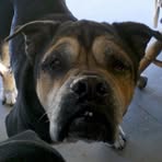 Profile Picture of Richard Seiffert Jr. (@richardseiffertjr) on Facebook