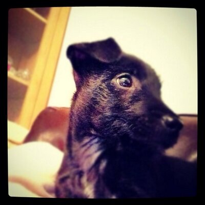 Profile Picture of Hayley Byers (@MrsByersy) on Twitter