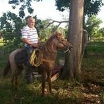 Profile Picture of Antonio Almanzar (@ninio.almanzar) on Instagram
