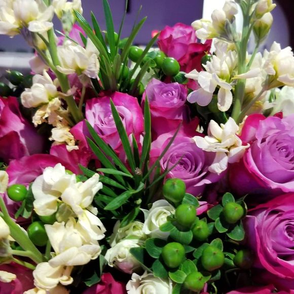 Profile Picture of Melissa Vorbeck (@mav213) on Poshmark