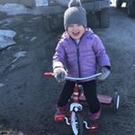 Profile Picture of Margie Bates Picken (@margiepicken) on Instagram