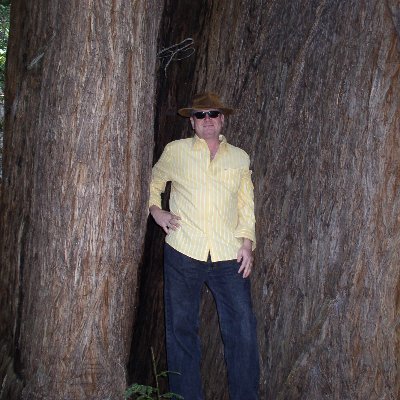 Profile Picture of David Steinman (@bydavidsteinman) on Twitter