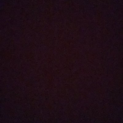 Profile Picture of Kyle Noe (@k_squee) on Twitter
