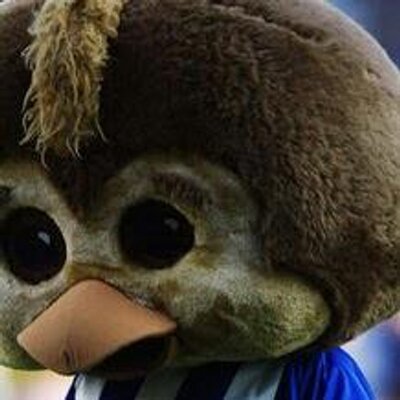 Profile Picture of Daniel Lunt (@19dcfac1c0f8435) on Twitter