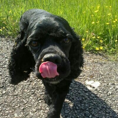 Jacob Groen - Twitter Profile Picture of Jacob Groen (@GreetGroen) on Twitter