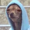Profile Picture of James Rivera (@@jarredwane) on Tiktok