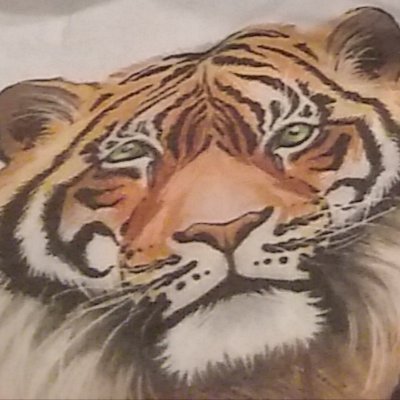 Profile Picture of Tiger Bunny (@Amanda76341085) on Twitter